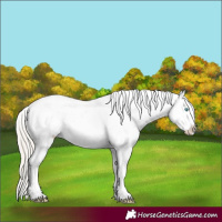 Horse Color:Chocolate Palomino Pearl Sabino Appaloosa Rabicano and Chocolate Palomino Pearl Sabino Frame Appaloosa Rabicano