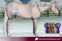 Horse Color:White Spotted Chocolate Palomino Pearl Mushroom Appaloosa Rabicano and Chocolate Palomino Pearl Appaloosa Rabicano