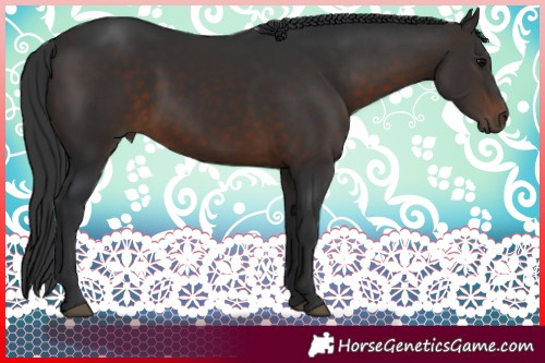 Horse Color:Brown 