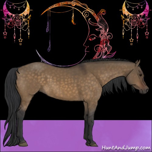 Horse Color:Brown Dun