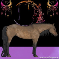 Horse Color:Brown Dun