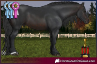 Horse Color:Brown 
