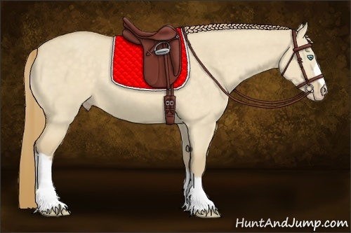 Horse Color:Perlino Dun