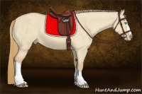 Horse Color:Perlino Dun