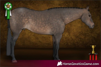 Horse Color:Brown Dun