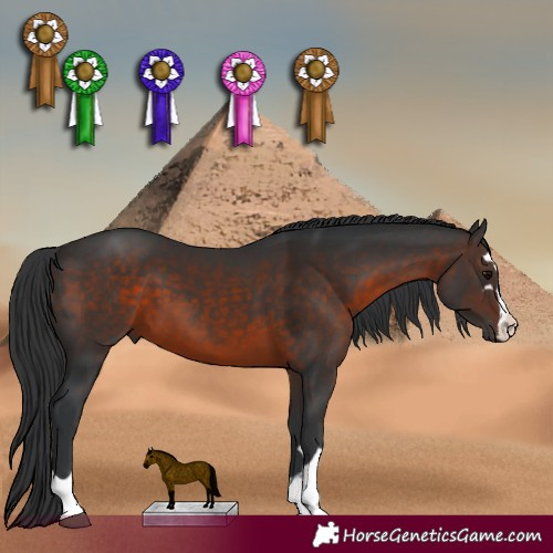 Horse Color:Brown 