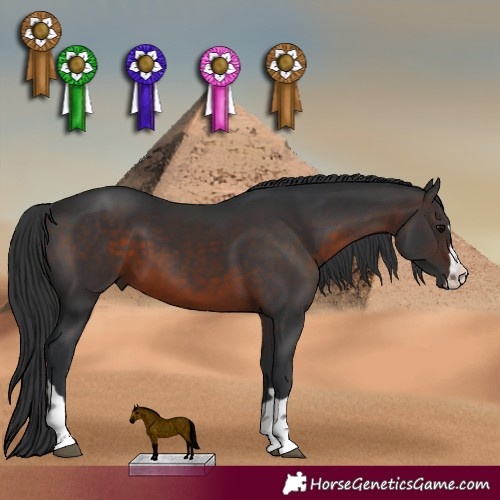 Horse Color:Brown 