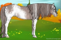 Horse Color:Platinum White Spotted Chestnut Sabino 