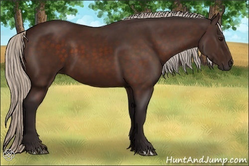 Horse Color:Silver Brown 