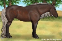 Horse Color:Silver Brown 