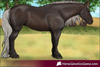 Horse Color:Silver Brown 