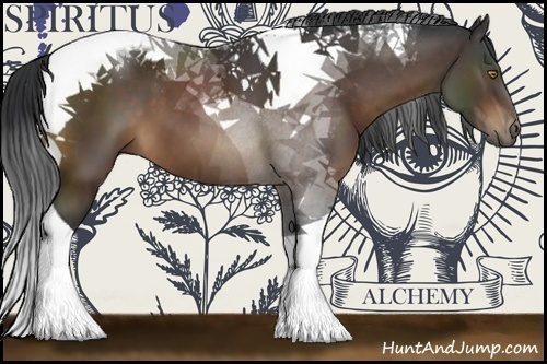 Horse Color:Bay Tobiano 