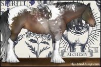 Horse Color:Bay Tobiano 