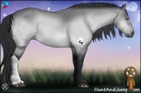 Horse Color:Brown Chinchilla 