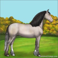 Horse Color:Platinum Sable Champagne 