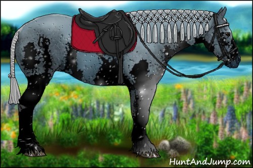 Horse Color:ERROR: UNKNOWN ANOMALY