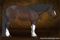Horse Color:Brown 