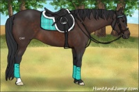 Horse Color:Brown 