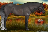 Horse Color:Platinum Brown 