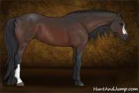 Horse Color:Brown 