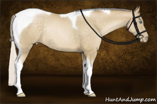 Horse Color:Silver Buckskin Pearl Tobiano Rabicano 