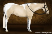 Horse Color:Silver Buckskin Pearl Tobiano Rabicano