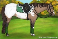 Horse Color:Brown Dun Snowcap