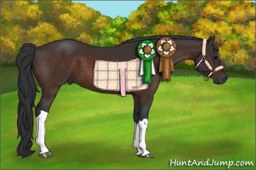 Horse Color:Brown 