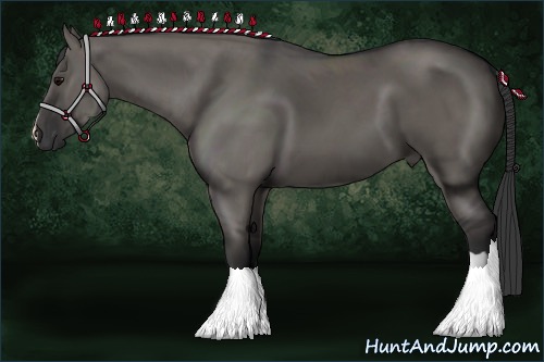 Horse Color:Grullo