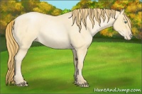 Horse Color:Smoky Blue Roan Pearl 
