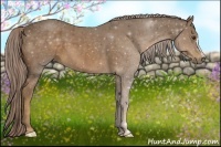 Horse Color:Chocolate Palomino 