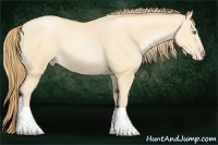 Horse Color:Smoky Black Pearl 