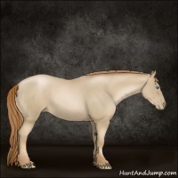 Horse Color:Smoky Blue Roan Pearl 
