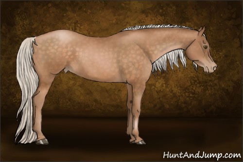 Horse Color:Silver Brown Pearl Rabicano 