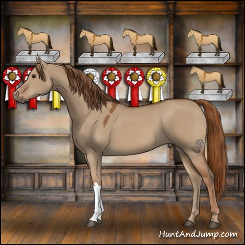 Horse Color:Red Dun 