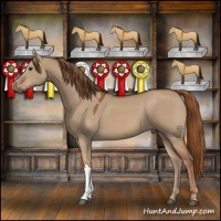 Horse Color:Red Dun 