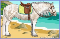 Horse Color:Chocolate Palomino Pearl Tobiano Frame  and Chocolate Palomino Pearl Tobiano Frame Appaloosa 