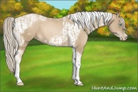Horse Color:Chocolate Palomino Pearl Tobiano Frame  and Chocolate Palomino Pearl Tobiano Frame 