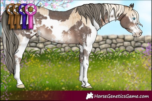 Horse Color:White Spotted Chocolate Palomino Pearl Dun Mushroom Sabino Splash Brindle  and White Spotted Liver Chestnut Mushroom Sabino 