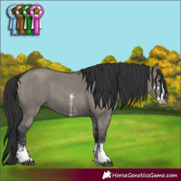 Horse Color:Grullo Sabino
