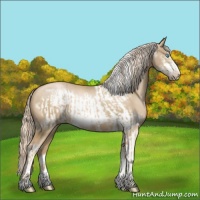 Horse Color:Chocolate Palomino Pearl Sabino Frame and Chocolate Palomino Pearl Sabino Frame