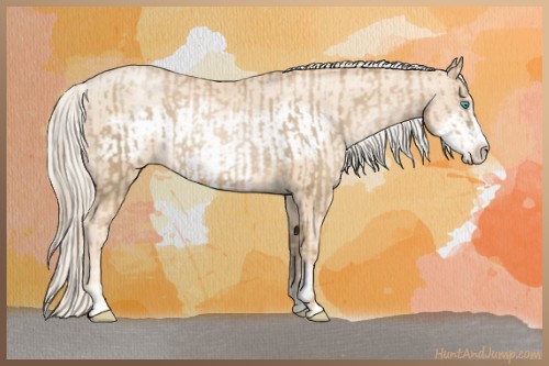 Horse Color:Chocolate Palomino Pearl Sabino Frame and Gold Cream Champagne Pearl Sabino Frame