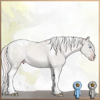 Horse Color:Platinum Chocolate Silver Sable Cream Champagne Tobiano Rabicano