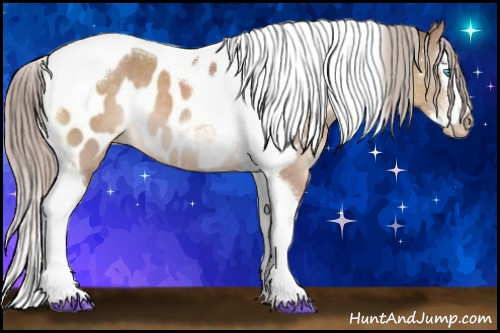 Horse Color:Gray Cremello Splash Tobiano Near Leopard