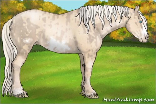 Horse Color:Chocolate Palomino Pearl Sabino Frame and Gold Cream Champagne Pearl Sabino Frame