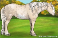 Horse Color:Chocolate Palomino Pearl Sabino Frame and Gold Cream Champagne Pearl Sabino Frame