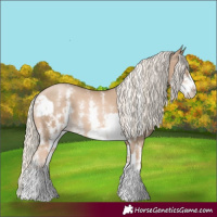 Horse Color:Chocolate Palomino Pearl Sabino Frame  and Chocolate Palomino Pearl Sabino Frame 