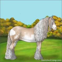 Horse Color:Chocolate Palomino Pearl Sabino Frame and Chocolate Palomino Pearl Sabino Frame