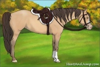 Horse Color:Amber Champagne 