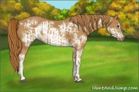 Horse Color:Chestnut Sabino  and Chestnut Sabino Frame 